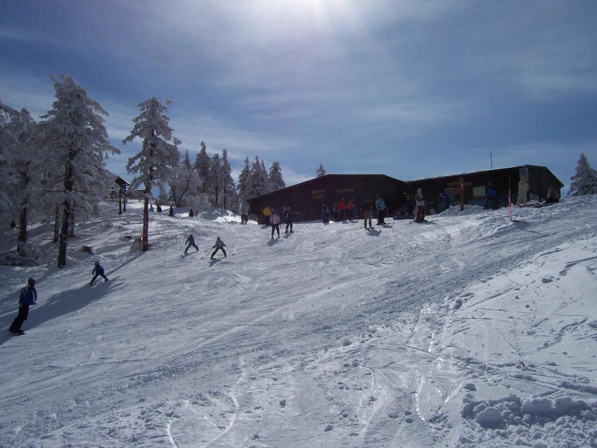 Pension - Der Berghof Браунлаге Экстерьер фото