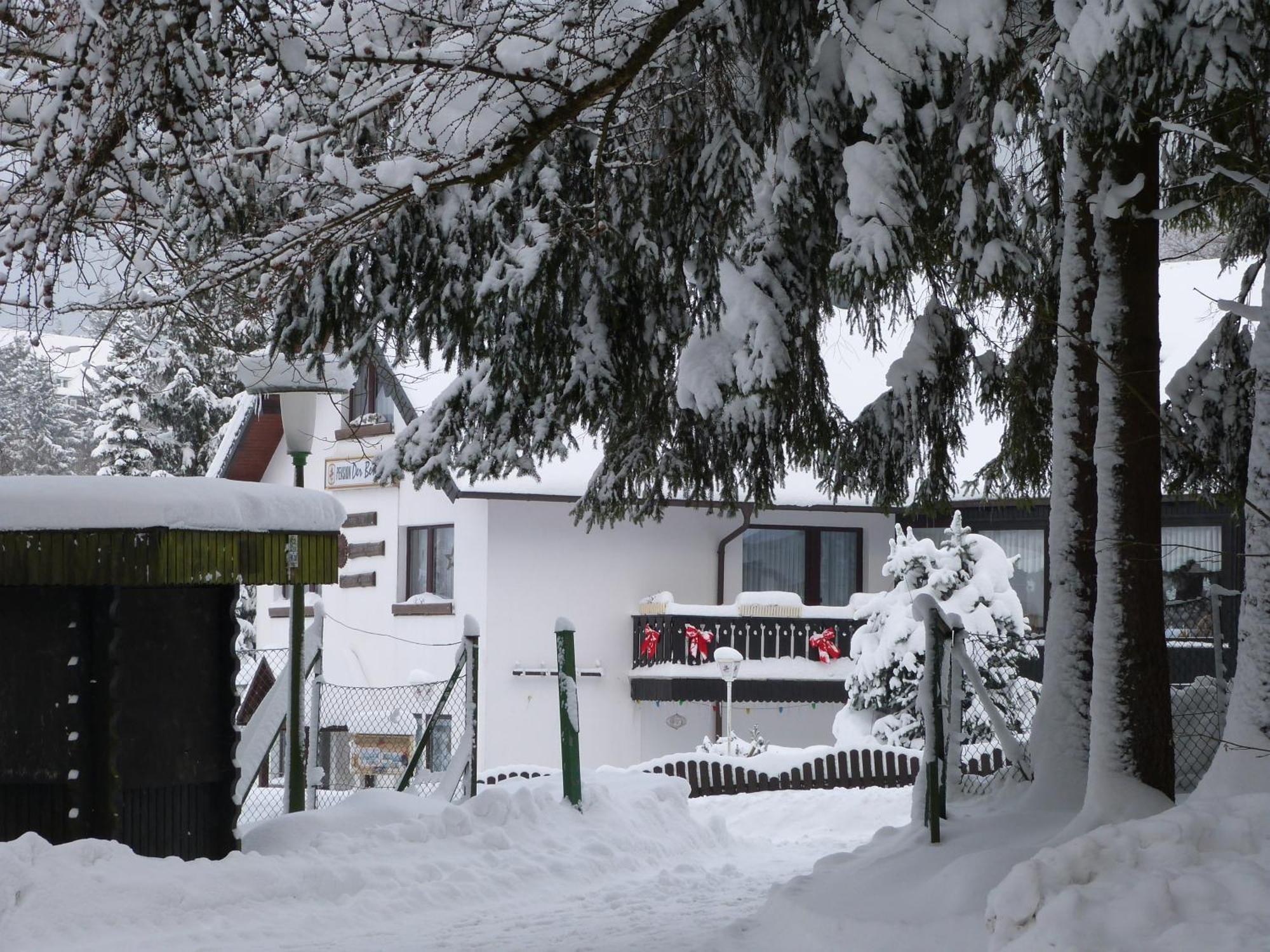 Pension - Der Berghof Браунлаге Экстерьер фото